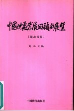 中国地区发展回顾与展望  湖北省卷