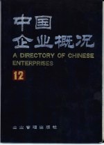 中国企业概况  12