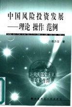 中国风险投资发展  理论、操作、范例