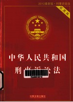 中华人民共和国刑事诉讼法  实用版