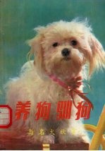 养狗驯狗与名犬欣赏