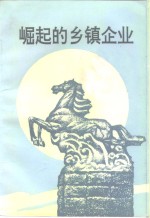 靖江文史资料  第12辑  崛起的乡镇企业