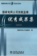 国家电网公司效能监察优秀成果集  2005