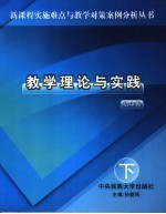 教学理论与实践  初中卷  下