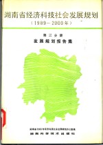 湖南省经济科技社会发展规划  1989-2000年  第3分册  发展规划报告集