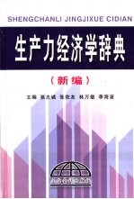 生产力经济学辞典  新编