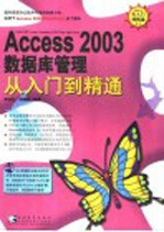 Access 2003数据库管理从入门到精通