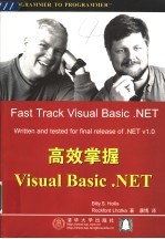 高效掌握Visual Basic.NET