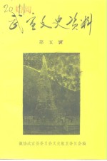 武宣文史资料  第5辑