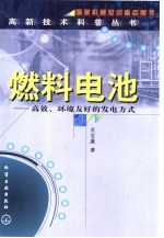 燃料电池  高效、环境友好的发电方式