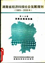 湖南省经济科技社会发展规划 （1989-2000年） 第二分册 发展战略报告集