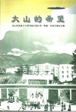 大山的希望  凉山州实施《十年行动计划》和“两基”攻坚中期征文集