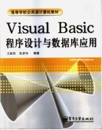 Visual Basic程序设计与数据库应用