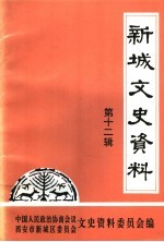 新城文史资料  第12辑