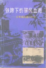 海南文史资料  第11辑  铁蹄下的腥风血雨 日军侵琼暴行实录  上