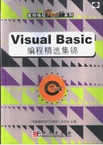 Visual Basic编程精选集锦