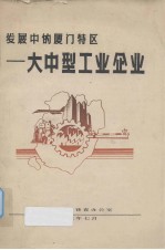 发展中的厦门特区——大中型工业企业