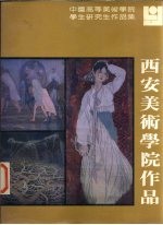 中国高等美术学院学生研究生作品集  西安美术学院作品