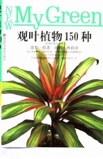 观叶植物150种  四季护理及鉴赏