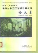 火电厂关键部件失效分析及全过程寿命管理论文集