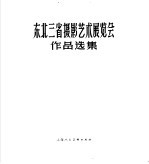 东北三省摄影艺术展览会作品选集