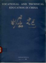 掘起：当代中国职业技术教育