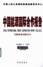 中国能源国际合作报告  2010-2011