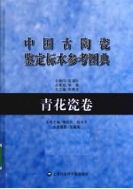 中国古陶瓷鉴定标本参考图典  青花瓷卷