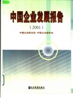 中国企业发展报告  2001