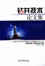 钻井技术论文集：中国石化石油工程西南公司湖南钻井分公司深井钻井10周年论文汇编