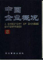 中国企业概况  6