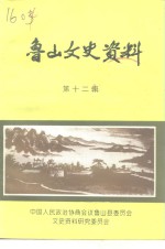 鲁山文史资料  第12辑