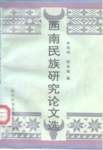 西南民族研究论文选  1904-1949