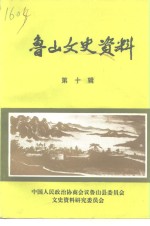 鲁山文史资料  第10辑