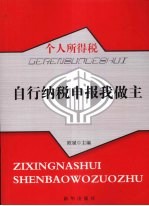 个人所得税自行纳税申报我做主