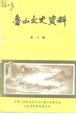 鲁山文史资料  第8辑