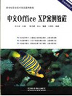 中文Office XP案例教程