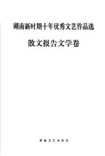 湖南新时期十年优秀文艺作品选散文报告  文学卷