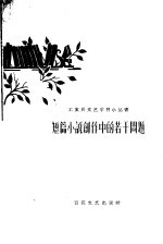 短篇小说创作中的若干问题