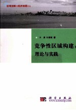 竞争性区域构建  理论与实践