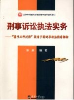 刑事诉讼执法实务  “基于工作过程”视角下的刑事执法程序解析