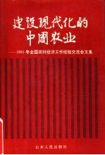 建设现代化的中国农业  1991年全国农村经济工作经验交流会文集