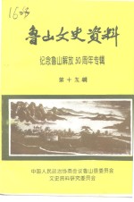 鲁山文史资料  第13辑