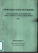 中国国民经济和社会发展统计数据汇编  1995