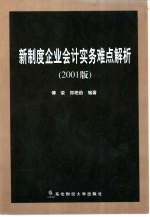 新制度企业会计实务难点解析  2001版