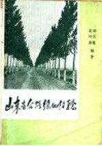 山东省公路绿化经验