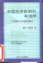 中国经济体制的新选择  中国市场经济通论