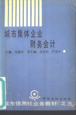 城市集体企业财务会计