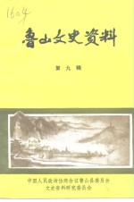 鲁山文史资料  第9辑