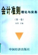 会计准则理论与实务  第1卷